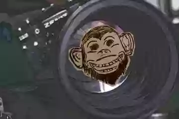Stock image: camera with monkey sticker